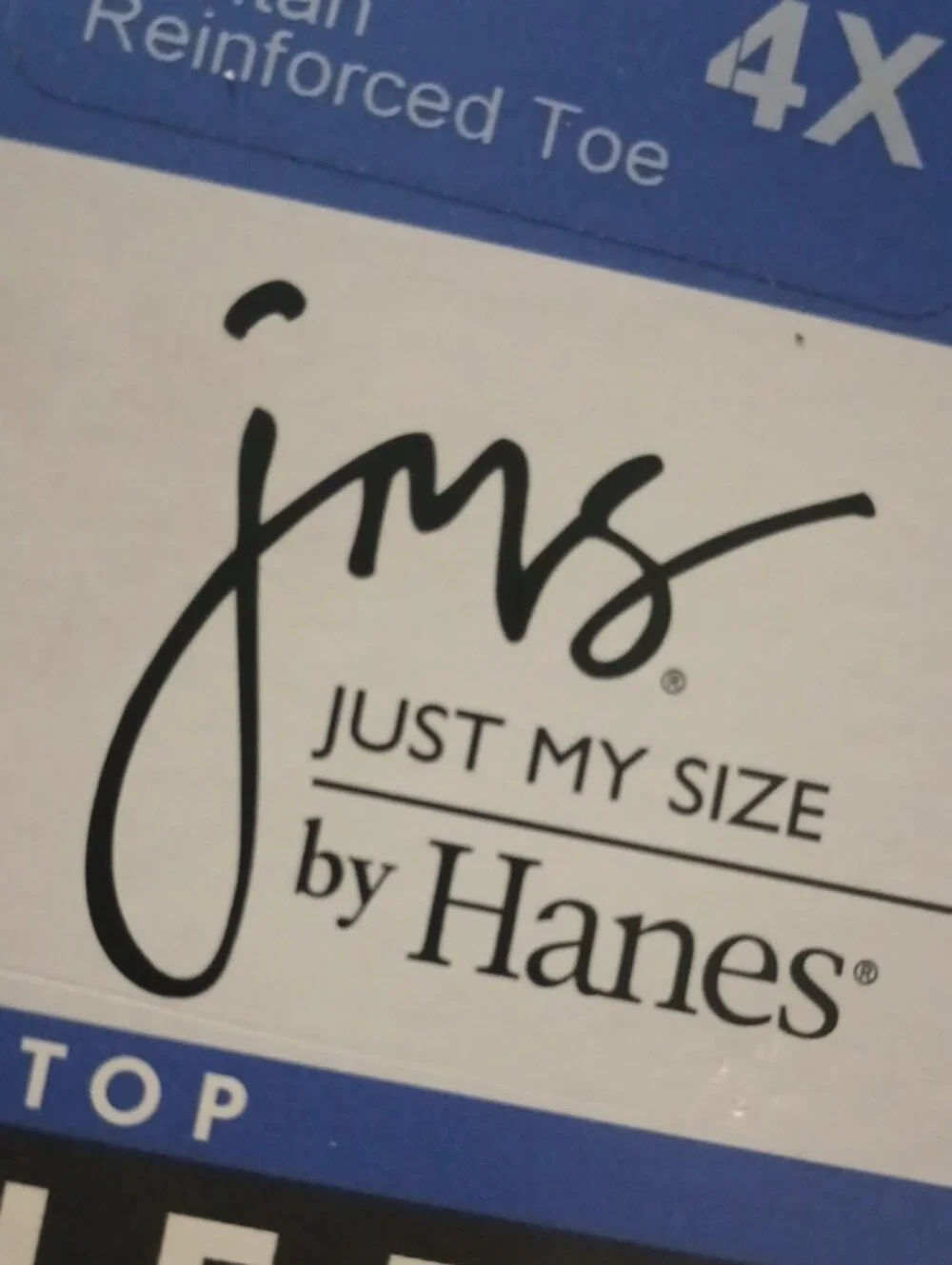 Hanes Day Sheer Control Top Pantyhose - Suntan and Black Accents